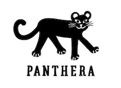 Panthera